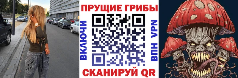 omg   дарнет шоп  Полысаево  Галлюциногенные грибы ЛСД 