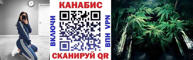 гидра ТОР  купить наркоту  Полысаево  Конопля тримм 